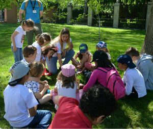 Campamento de verano